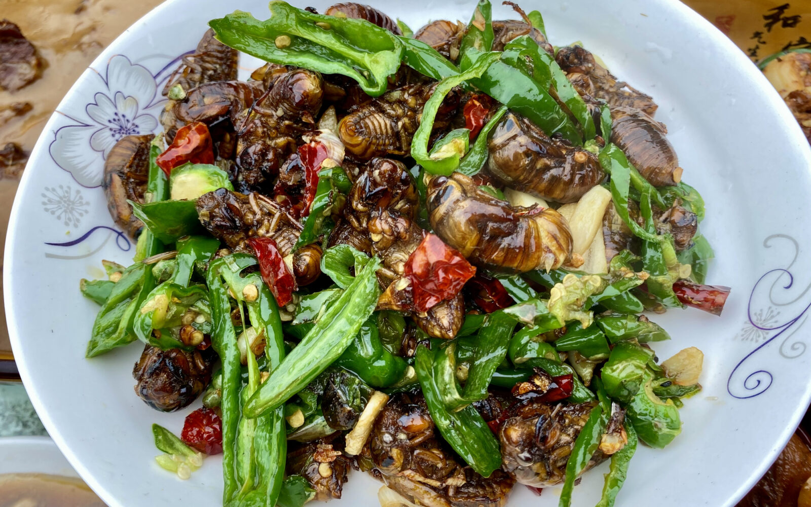 Insetos: um potencial para a alimentação humana e animal - Portal e ...