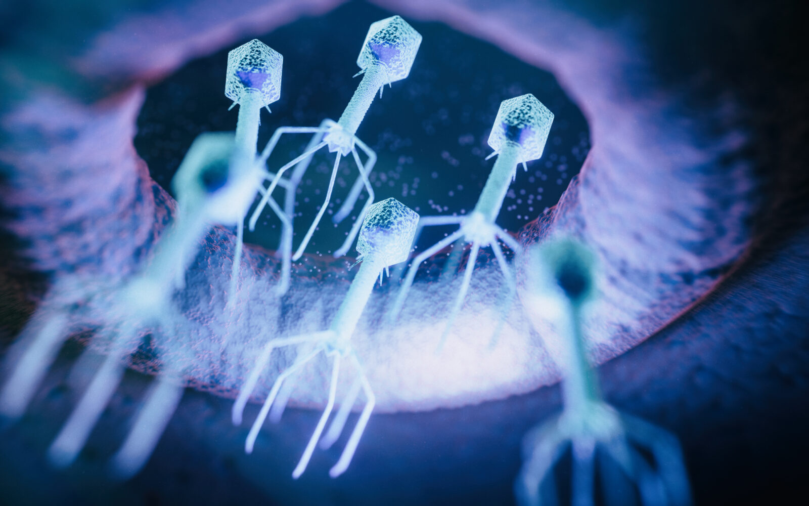 Bacteriófagos na Indústria de Alimentos: Aspectos Positivos e Negativos ...