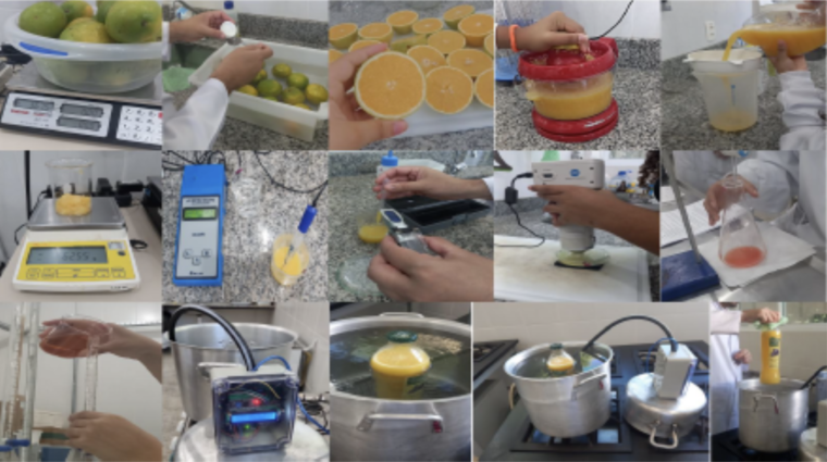 Rendimento e características físico-químicas do suco de laranja ...
